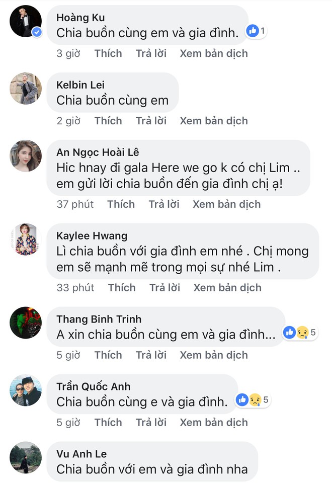 Quỳnh Anh Shyn, Hoàng Ku và hàng loạt sao Việt gửi lời chia buồn đến Salim - Ảnh 4.