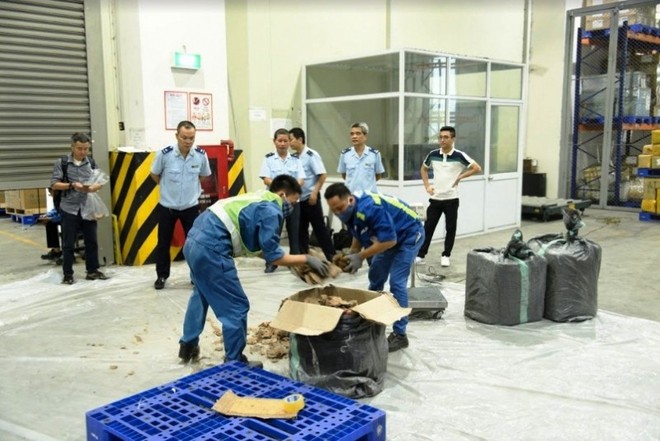 Bắt giữ vụ ngà voi khủng tại Sân bay quốc tế Nội Bài - Ảnh 1.