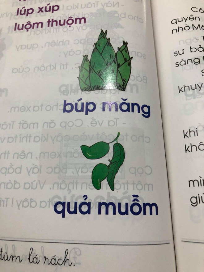 Phụ huynh lo ngại trước bộ sách Tiếng Việt lớp 1: &quot;Các thành ngữ đều nặng nề, bài đọc thì xỉa xói nhiều hơn là giáo dục&quot; - Ảnh 4.