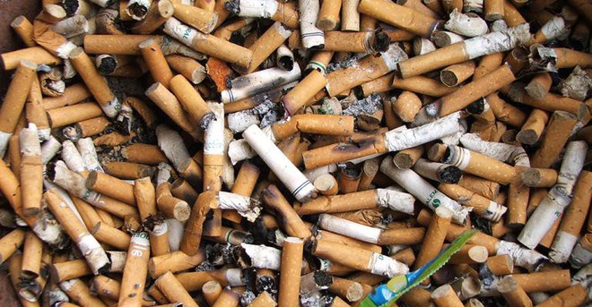 Trong ảnh l&agrave; một trong những thứ r&aacute;c kinh khủng nhất đại dương, c&ograve;n nghi&ecirc;m trọng hơn cả ống h&uacute;t nhựa - Ảnh 2.