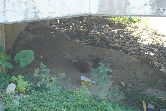 Nghệ An: Hốt hoảng phát hiện thi thể người đàn ông nổi dưới chân cầu Cửa Tiền - Ảnh 1.