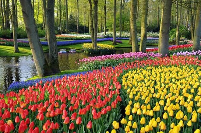 Ảnh: &ldquo;Lạc tr&ocirc;i&rdquo; tr&ecirc;n những c&aacute;nh đồng hoa đẹp như trong truyện cổ t&iacute;ch - Ảnh 7.