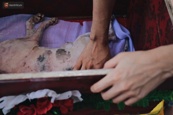 Gặp người đàn ông xây resort chó mèo kỳ lạ nhất Hà Nội: Tổ chức đám tang và thờ cúng cho hàng trăm mộ phần thú cưng xấu số - Ảnh 9.