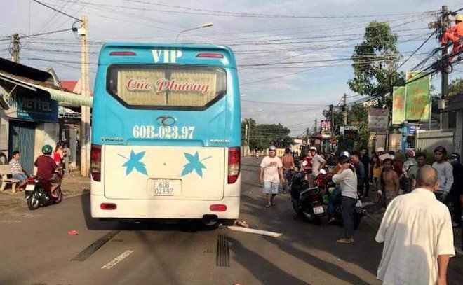 Đồng Nai: Qua đường mua đồ giúp mẹ, bé gái 5 tuổi bị xe khách cán tử vong thương tâm - Ảnh 1.
