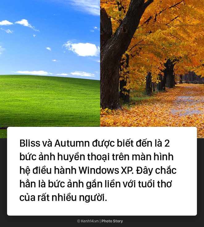Câu chuyện trái ngang đằng sau 2 hình nền huyền thoại của Windows XP - Ảnh 1.