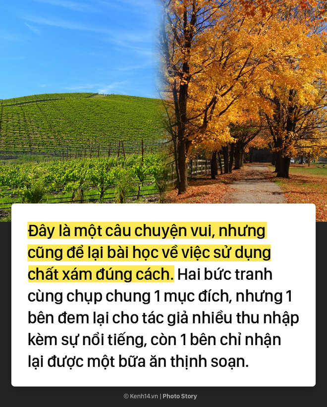 Câu chuyện trái ngang đằng sau 2 hình nền huyền thoại của Windows XP - Ảnh 11.