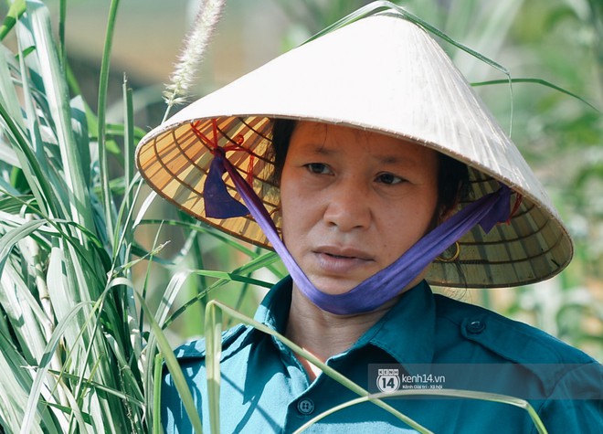 Bố mẹ Bùi Tiến Dũng vẫn vui vẻ cắt mía, cho trâu ăn sau chiến thắng của đội tuyển U23 Việt Nam - Ảnh 4.