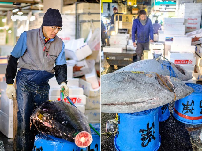 Trong chợ cá lớn nhất thế giới tại Nhật Bản: Mỗi con cá ngừ được bán với giá bằng vài ngôi nhà Nhật Bản - Ảnh 10.