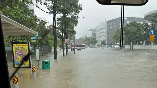 Châu Mỹ thì bão tuyết khủng khiếp, Úc đương đầu nắng nóng lịch sử còn Singapore cũng chịu cảnh lụt lội nghiêm trọng - Ảnh 10.