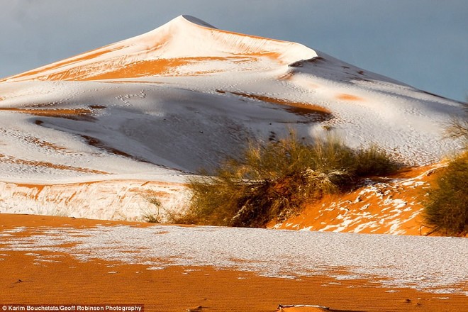Thế giới lạnh siêu mạnh đến mức sa mạc Sahara nóng bỏng cũng bị tuyết phủ tới 40 cm - Ảnh 4.