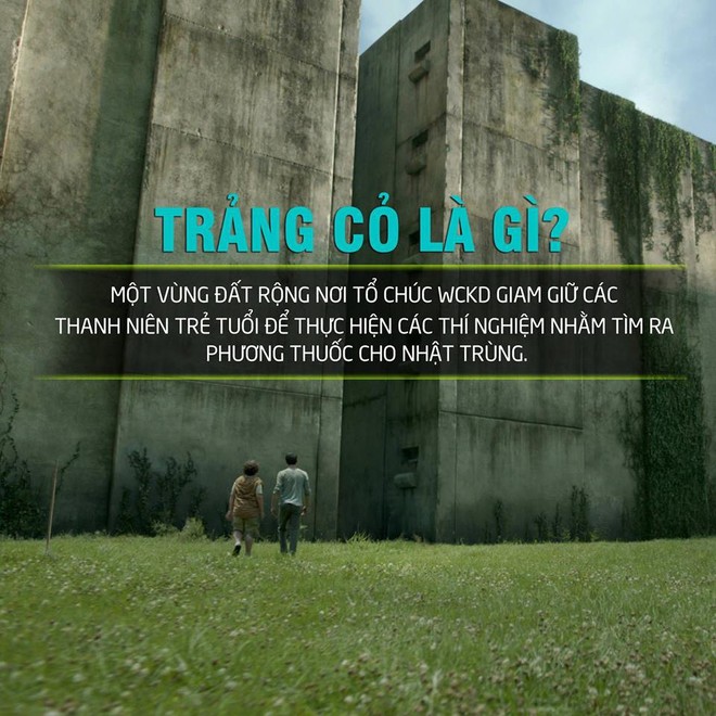 Trước giờ G, cày gấp tóm tắt 2 tập Maze Runner trong 90 giây, đợi phần cuối lộ diện - Ảnh 2.