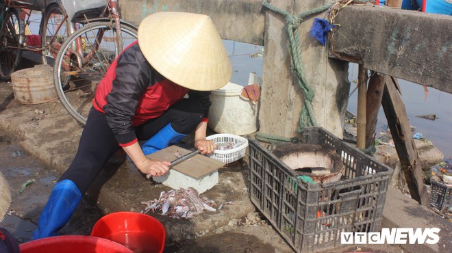 Tiểu thương xả rác vô tội vạ, sông Roòn chết dần trong ô nhiễm - Ảnh 2.