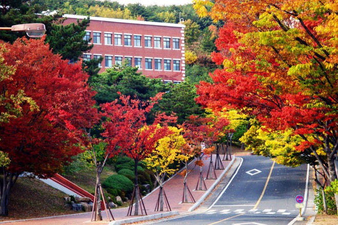 Bối cảnh ruột của các nhà làm phim Hàn Quốc: Có một cái trường đại học mà tới hơn 100 bộ phim từng quay tại đây! - Ảnh 7.