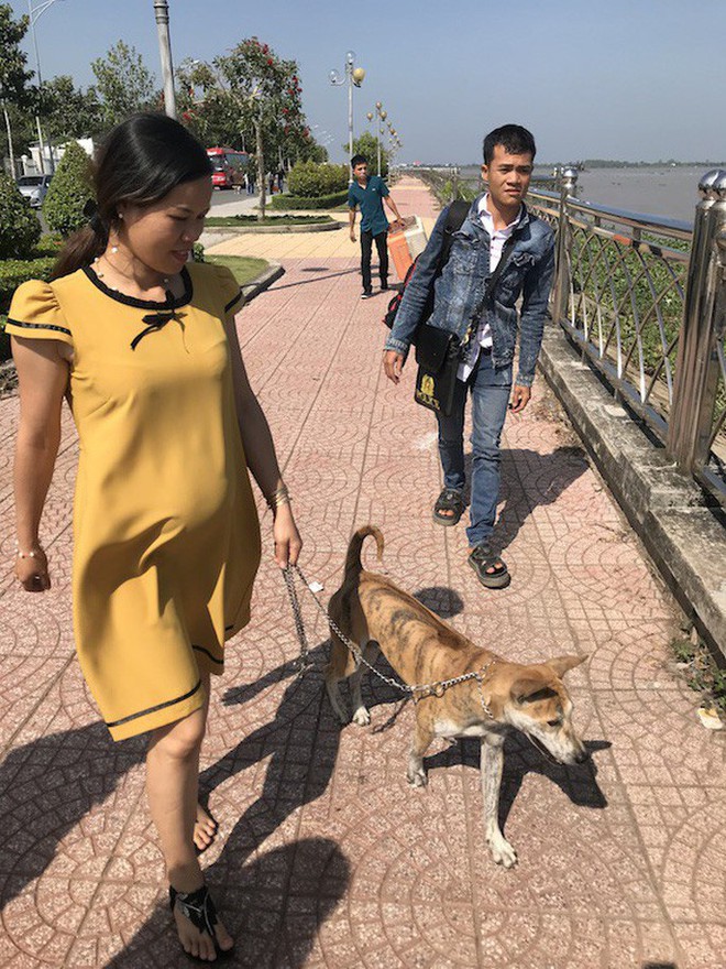 Ngắm d&agrave;n ch&oacute; đắt tiền từ khắp nơi về miền T&acirc;y thi ch&oacute; đẹp - Ảnh 15.
