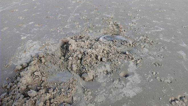 Thịt động vật đ&oacute;ng g&oacute;i ph&acirc;n hủy mạnh dạt bất thường v&agrave;o bờ biển TT-Huế - Ảnh 4.