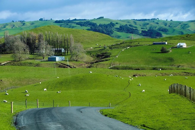 Tại sao những bạn trẻ đam mê điện ảnh lại chọn New Zealand để du học? - Ảnh 1.