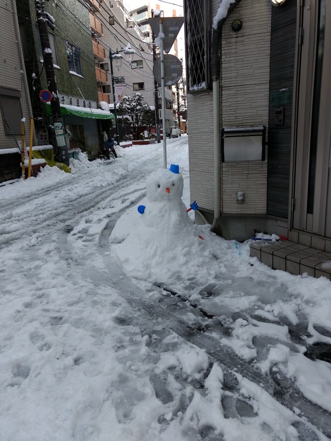 Những hình ảnh rùng mình trong bão tuyết kỷ lục tại Tokyo: Hàng trăm chuyến bay bị hủy, xe đạp đóng băng ngoài trời - Ảnh 16.