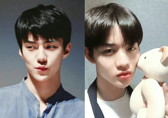 Bức hình khiến fan EXO và Wanna One tranh cãi nảy lửa: Đây rõ ràng là Sehun, mà lại là Jin Young? - Ảnh 8.