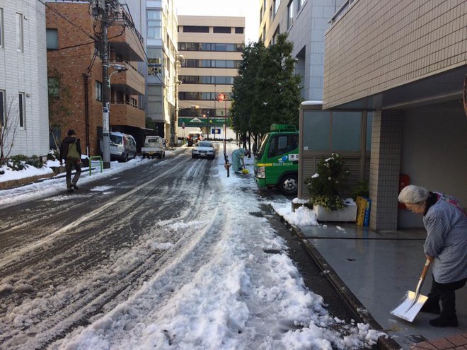 Những h&igrave;nh ảnh r&ugrave;ng m&igrave;nh trong b&atilde;o tuyết kỷ lục tại Tokyo: H&agrave;ng trăm chuyến bay bị hủy, xe đạp đ&oacute;ng băng ngo&agrave;i trời - Ảnh 17.