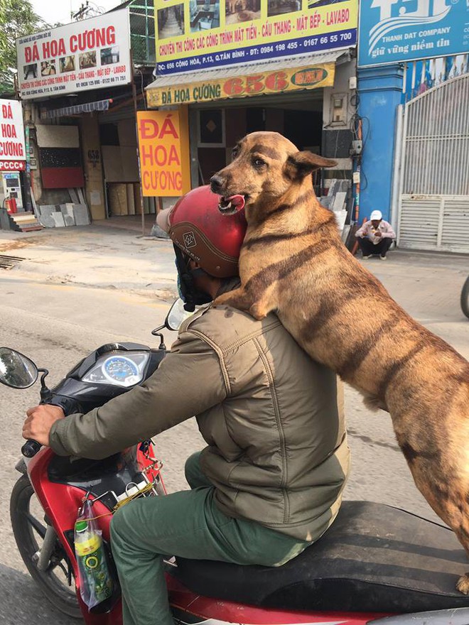 Clip: Con boss kẻ lông mày sâu róm, tha thu vằn vện toàn thân là ngôi sao sáng MXH hôm nay - Ảnh 4.