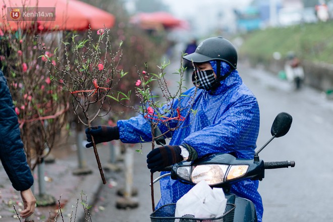 Chùm ảnh: Hoa đào đã nở đỏ rực trên những tuyến phố Hà Nội, Tết đã đến rất gần rồi! - Ảnh 9.