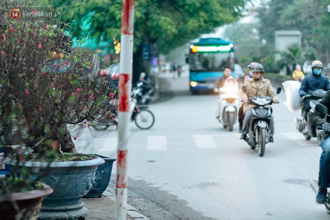 Chùm ảnh: Hoa đào đã nở đỏ rực trên những tuyến phố Hà Nội, Tết đã đến rất gần rồi! - Ảnh 3.