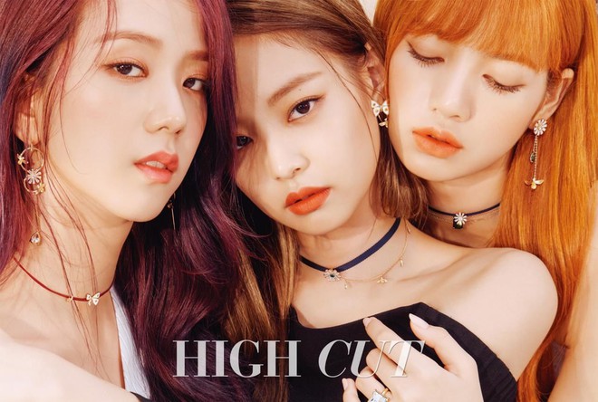 Ngoài Jisoo, Lisa (Black Pink), dàn mỹ nhân đẹp xuất chúng này từng chịu cảnh làm nền cho người kém sắc hơn - Ảnh 1.