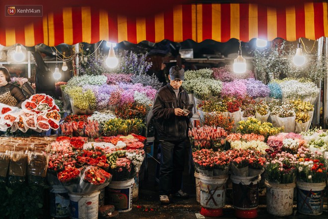 Chùm ảnh: Chợ hoa Quảng An sáng đèn, lung linh những ngày giáp Tết - Ảnh 4.