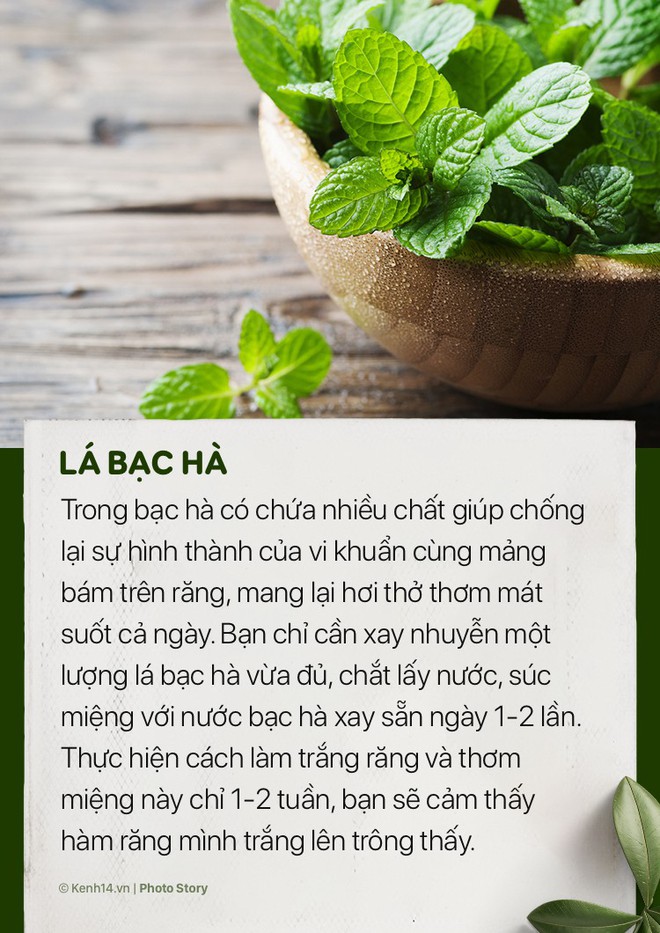 Lấy lại hàm răng trắng sáng ngay tại nhà bởi những nguyên liệu đơn giản  - Ảnh 3.