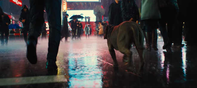 7 chi tiết thú vị ẩn giấu sau những cảnh bắn giết tàn khốc của trailer John Wick 3 - Ảnh 9.