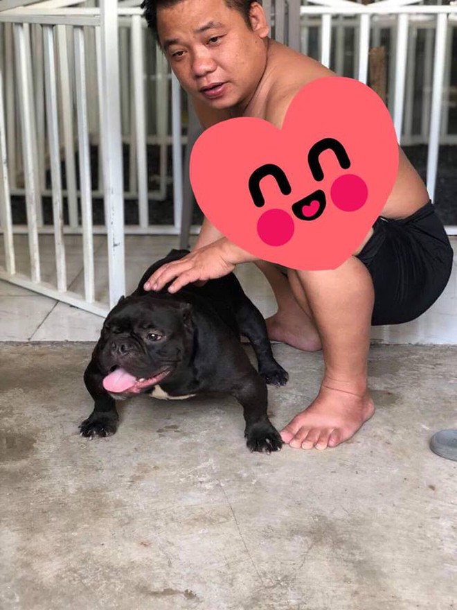 Thanh ni&ecirc;n Bi&ecirc;n H&ograve;a bỏ 3 tỷ mua ch&oacute; ng&agrave;y đầu năm để ch&agrave;o mừng 2019 - Ảnh 1.