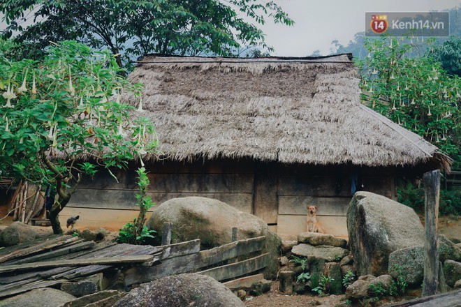 C&oacute; một T&acirc;y Bắc ở Nghệ An v&ocirc; c&ugrave;ng khắc nghiệt nhưng lại rất n&ecirc;n thơ - Ảnh 5.