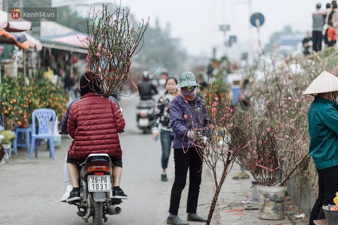 Vườn đào Nhật Tân nhộn nhịp ngày giáp Tết, đường tắc từ làng ra phố - Ảnh 13.