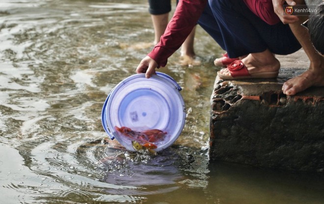 Khổ như c&aacute; ch&eacute;p ng&agrave;y tiễn &ocirc;ng T&aacute;o: Vừa được ph&oacute;ng sinh đ&atilde; bị đội qu&acirc;n ch&egrave;o thuyền chờ sẵn để ch&iacute;ch điện - Ảnh 4.