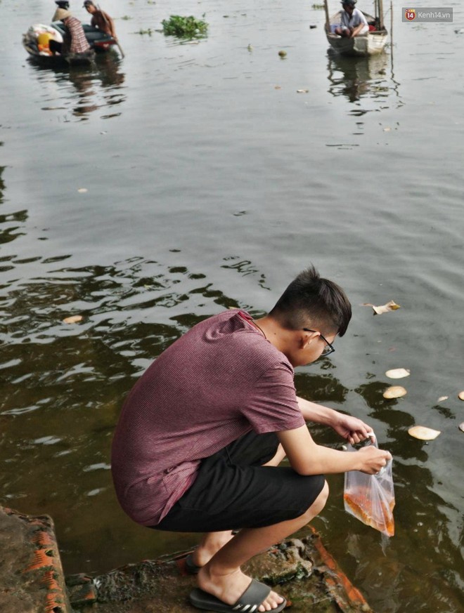 Khổ như cá chép ngày tiễn ông Táo: Vừa được phóng sinh đã bị đội quân chèo thuyền chờ sẵn để chích điện - Ảnh 5.