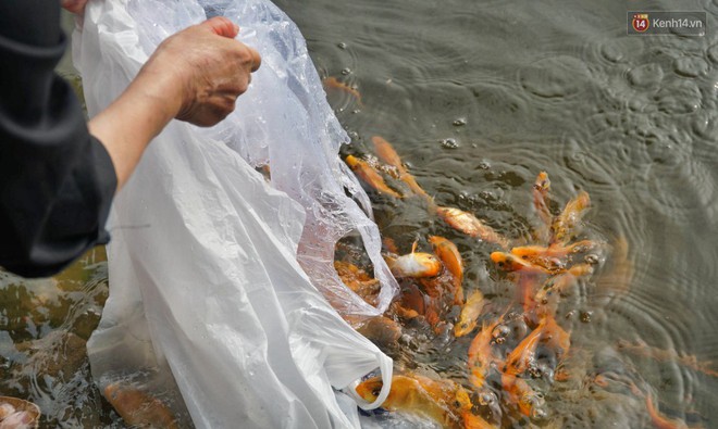 Khổ như c&aacute; ch&eacute;p ng&agrave;y tiễn &ocirc;ng T&aacute;o: Vừa được ph&oacute;ng sinh đ&atilde; bị đội qu&acirc;n ch&egrave;o thuyền chờ sẵn để ch&iacute;ch điện - Ảnh 1.