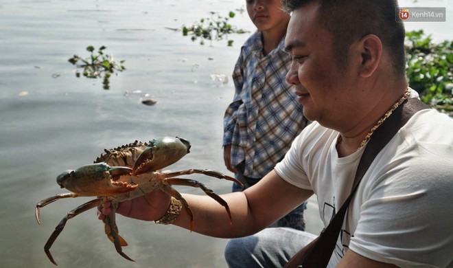 Khổ như cá chép ngày tiễn ông Táo: Vừa được phóng sinh đã bị đội quân chèo thuyền chờ sẵn để chích điện - Ảnh 10.