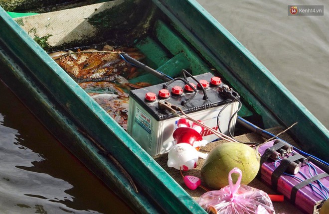 Khổ như cá chép ngày tiễn ông Táo: Vừa được phóng sinh đã bị đội quân chèo thuyền chờ sẵn để chích điện - Ảnh 13.