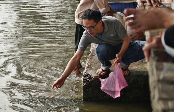 Khổ như c&aacute; ch&eacute;p ng&agrave;y tiễn &ocirc;ng T&aacute;o: Vừa được ph&oacute;ng sinh đ&atilde; bị đội qu&acirc;n ch&egrave;o thuyền chờ sẵn để ch&iacute;ch điện - Ảnh 7.