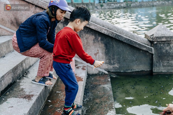 Cá chép chết nổi mặt hồ Tây, bàn thờ, bát hương bị vứt thẳng xuống hồ - Ảnh 3.