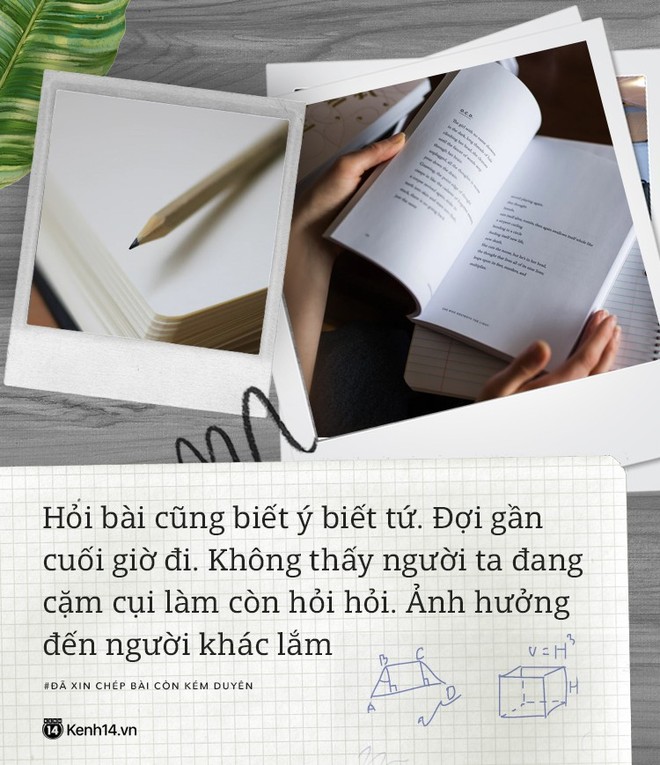 Những nỗi niềm của người học giỏi mà bọn học dốt sẽ chẳng bao giờ hiểu được - Ảnh 2.