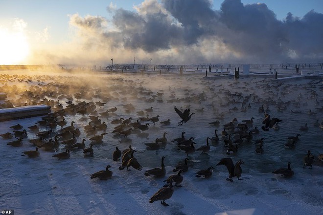 Thời tiết điên rồ: Nhiều nơi đón mùa xuân, riêng ở Mỹ rét hơn cả Alaska và Nam Cực - Ảnh 17.