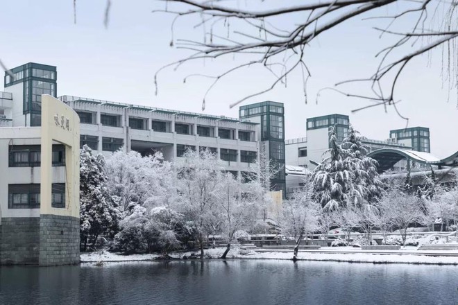 Tuyết rơi trắng trời tạo nên khung cảnh đẹp nao lòng tại các trường đại học - Ảnh 15.