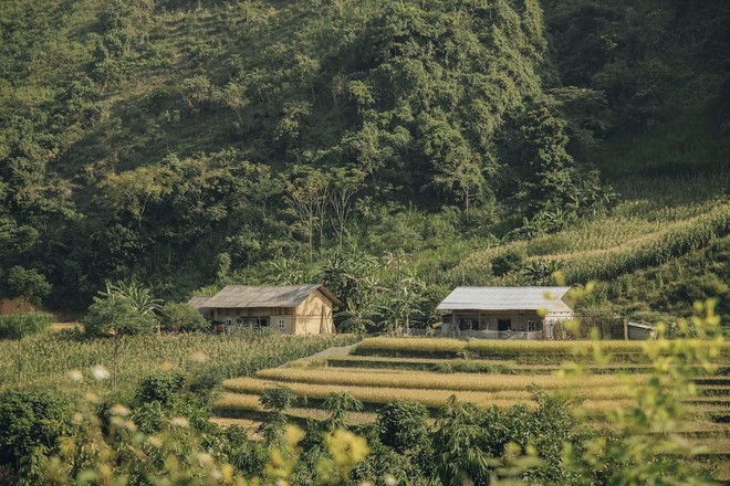 Review chuyến đi Hà Giang săn mùa vàng, chàng photographer khiến dân tình mê như điếu đổ với bộ ảnh đẹp mê hồn - Ảnh 4.