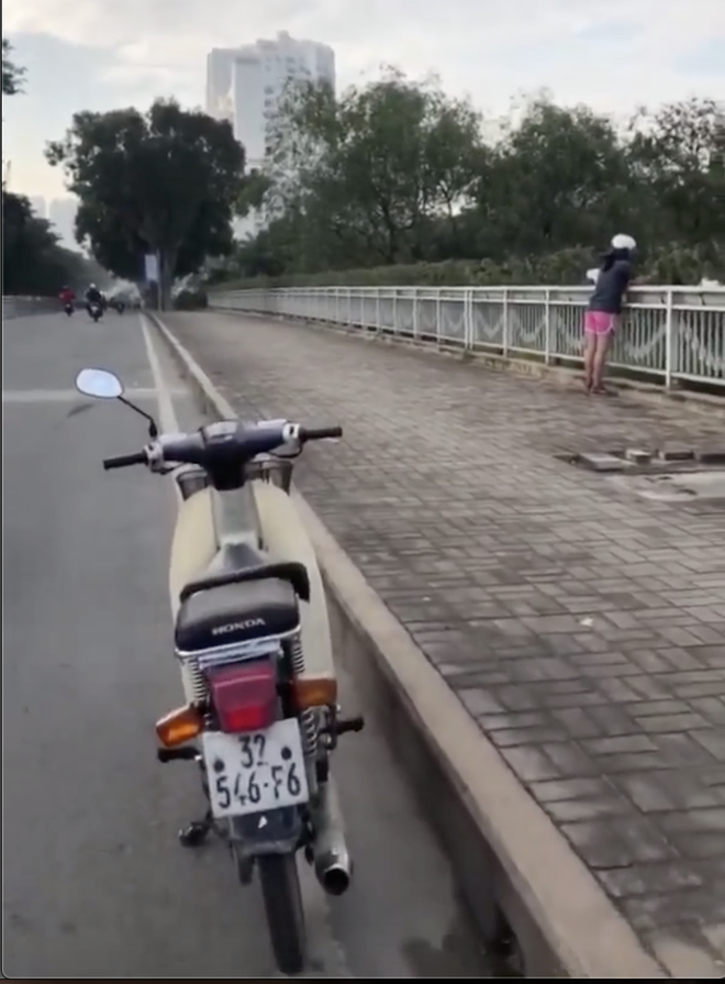 Người phụ nữ ngang nhiên bứng trộm cây cảnh ở Phú Mỹ Hưng, bị nhắc nhở còn cố chấp: Em chỉ xin 1, 2 cây thôi mà - Ảnh 4.