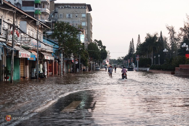 Cần Thơ: Triều cường dâng cao kỷ lục, cuộc sống người dân gặp khó khăn nhưng không quên tiếng cười - Ảnh 1.