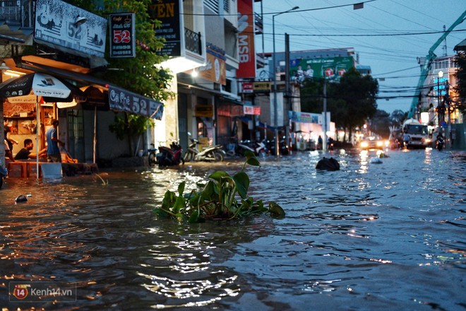 Cần Thơ: Triều cường dâng cao kỷ lục, cuộc sống người dân gặp khó khăn nhưng không quên tiếng cười - Ảnh 3.