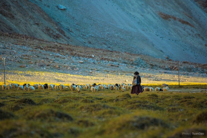 Đã mắt với bộ ảnh du lịch Ladakh - “Tiểu Tây Tạng” của Ấn Độ, nơi không dành cho những kẻ yếu tim và sợ độ cao - Ảnh 10.