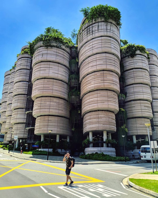 Độc nhất thế giới tòa nhà hình giỏ Dimsum nổi tiếng khắp bản đồ sống ảo Singapore, đi 1 bước chụp được 100 tấm hình! - Ảnh 3.