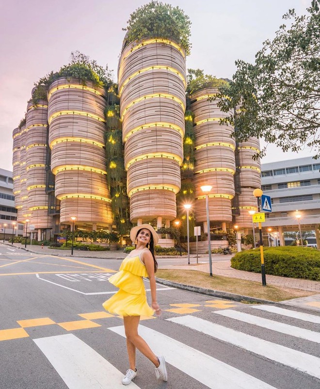 Độc nhất thế giới tòa nhà hình giỏ Dimsum nổi tiếng khắp bản đồ sống ảo Singapore, đi 1 bước chụp được 100 tấm hình! - Ảnh 1.